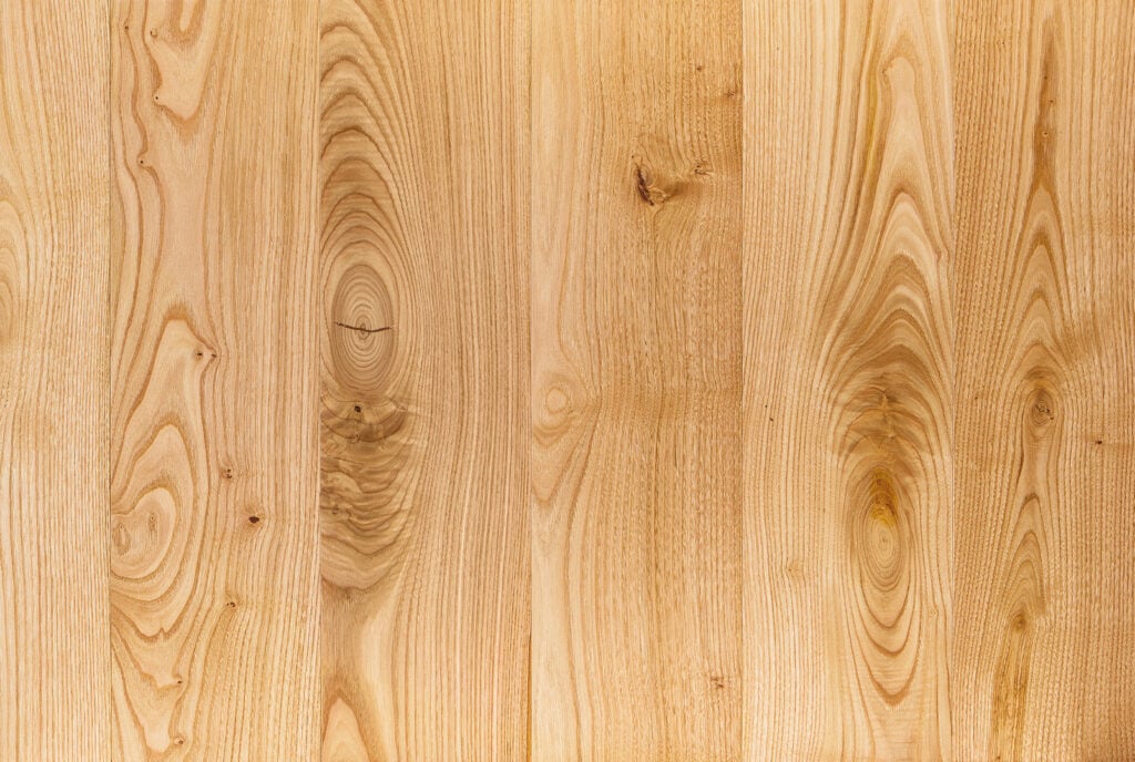 Chest Nut
