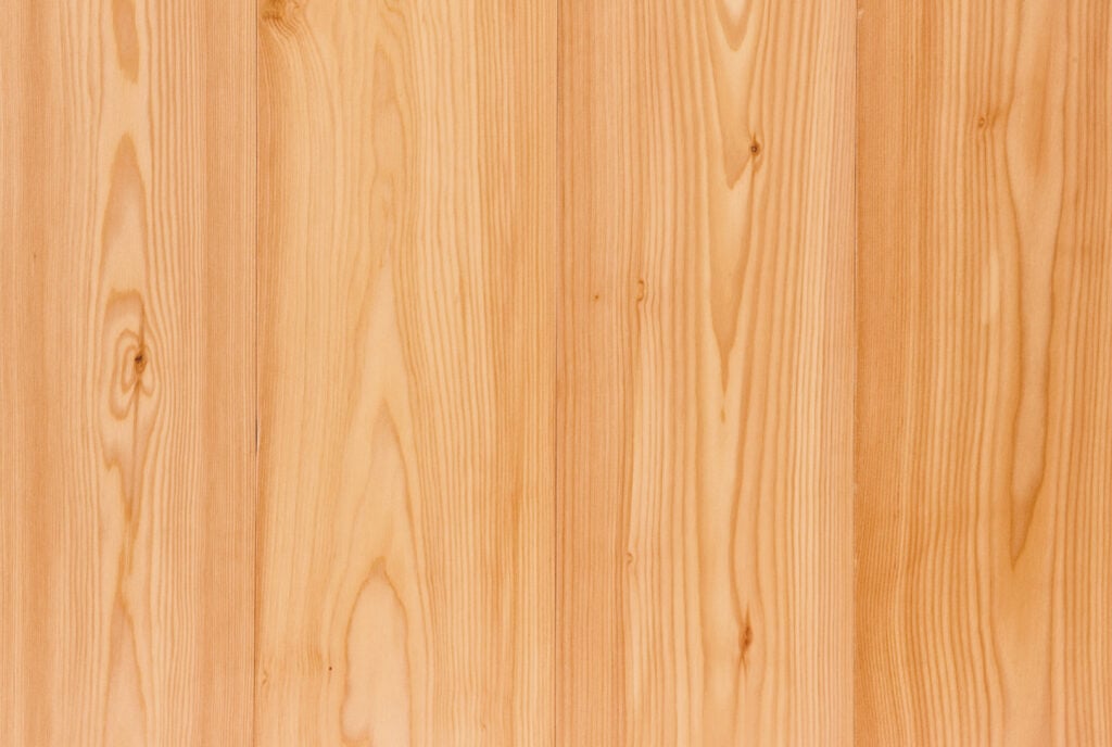 Larch