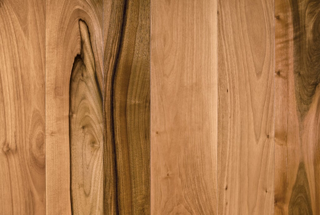 European Walnut