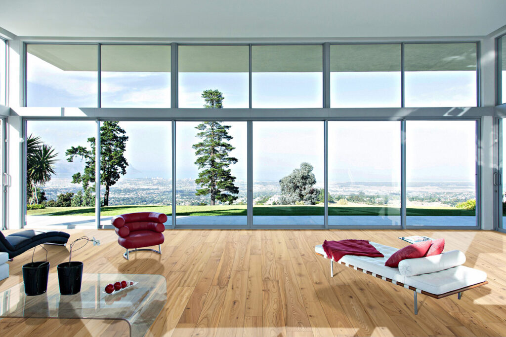 Classico European Elm
