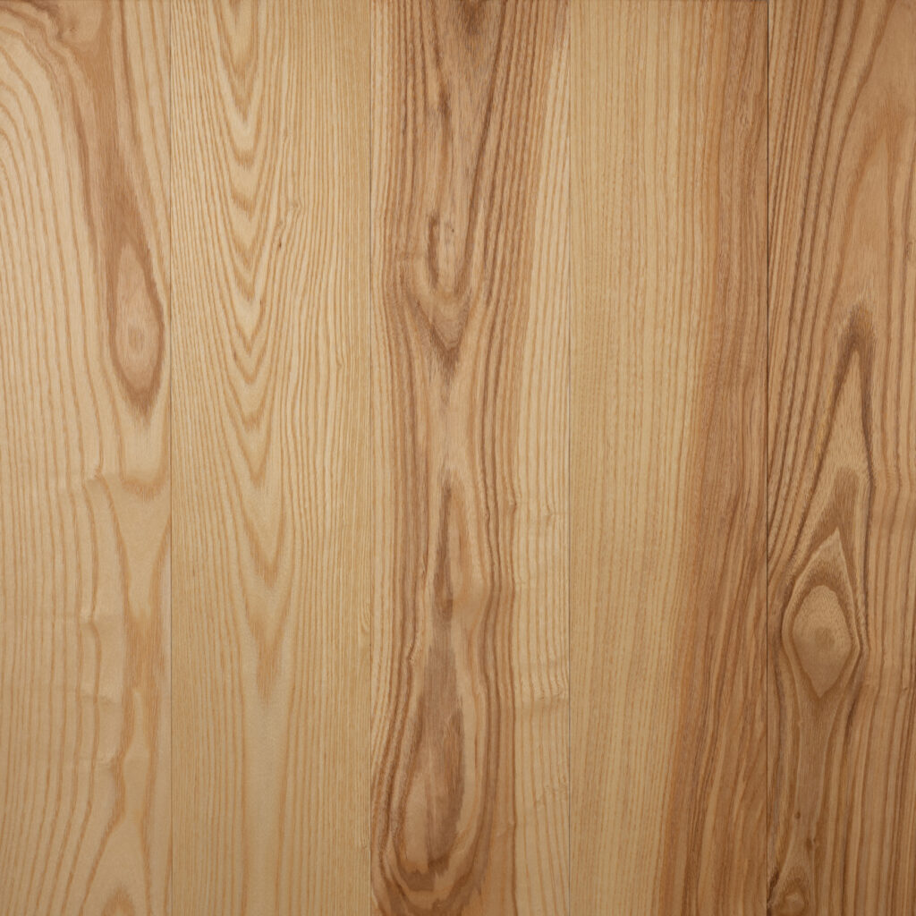 European Ash Natur Olivato